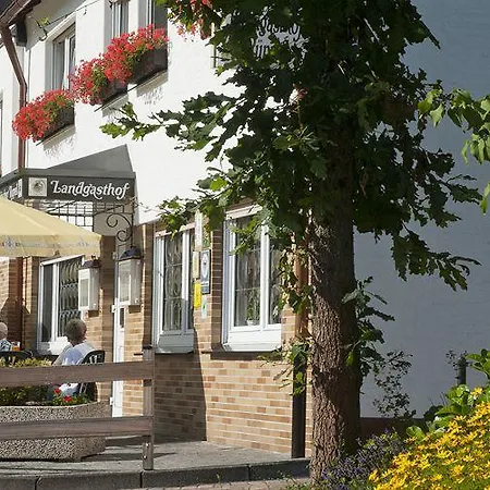 Landgasthof Rueppel Hotel 3*