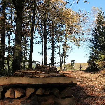 Landgasthof Rueppel 3* Ramsbeck
