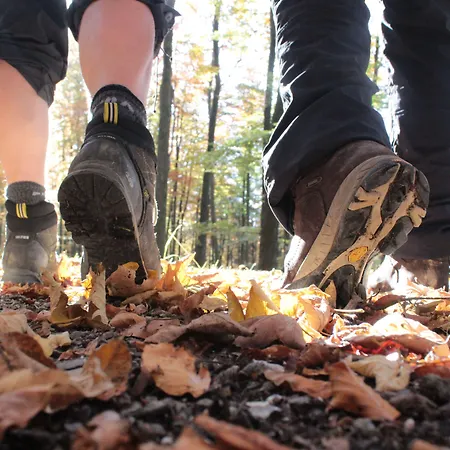 Landgasthof Rueppel Ξενοδοχείο 3*