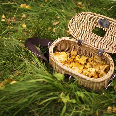 Ξενοδοχείο Landgasthof Rueppel