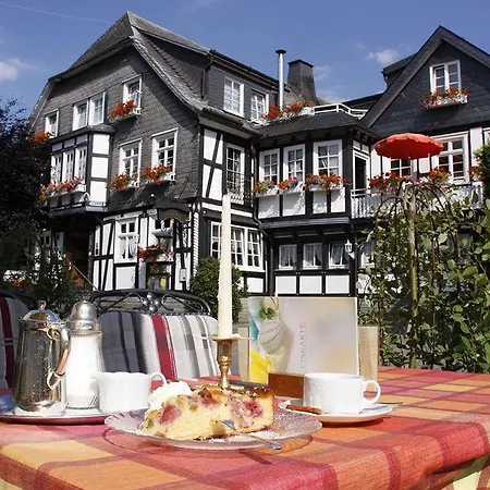 Hotel Landgasthof Rueppel 3*