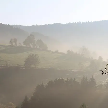 Landgasthof Rueppel 3* Ramsbeck