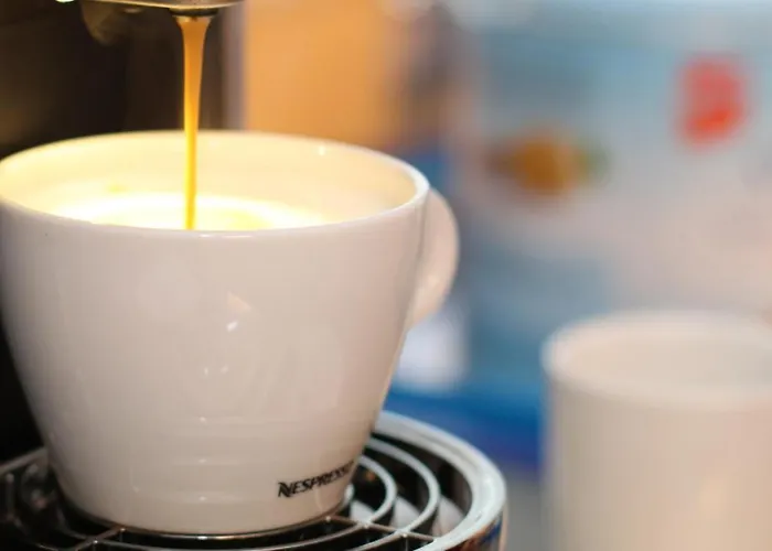 酒店 兰德加斯霍夫鲁珀酒店 Ramsbeck