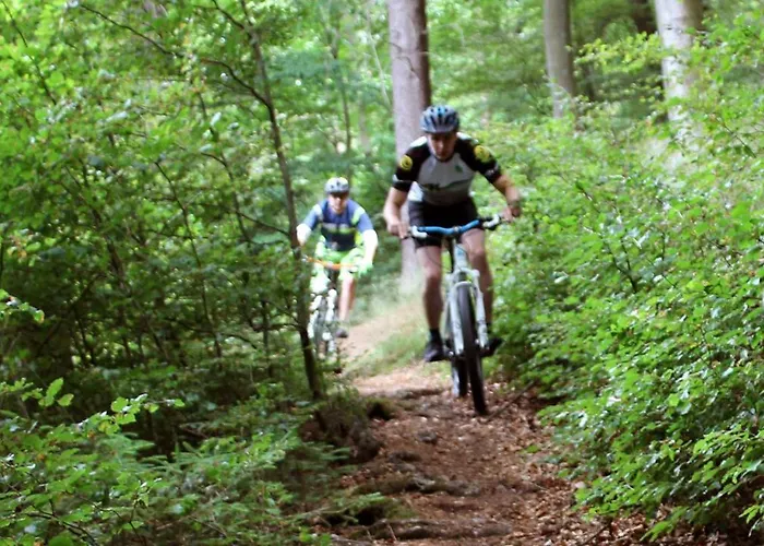 兰德加斯霍夫鲁珀酒店 酒店 Ramsbeck