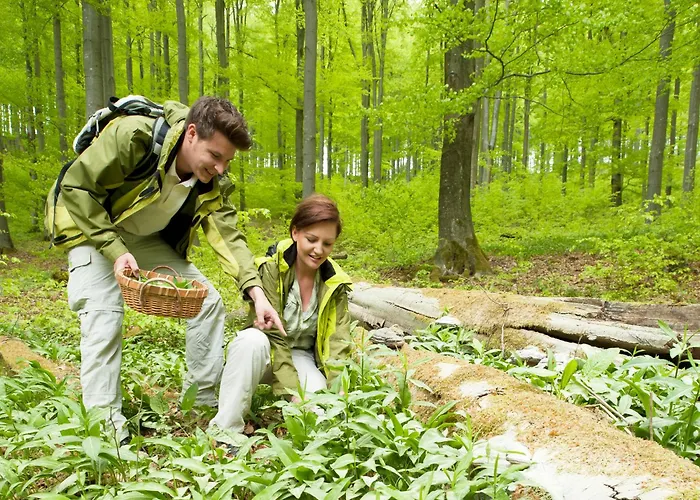 호텔 Landgasthof Rueppel Ramsbeck