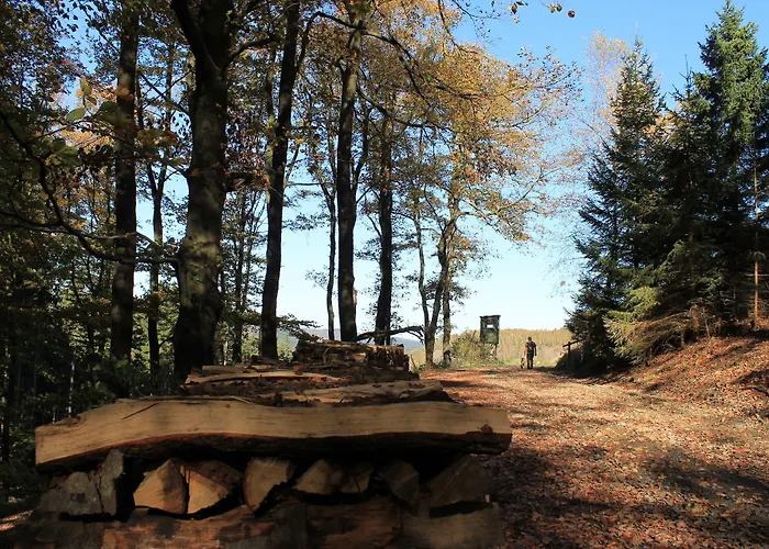 兰德加斯霍夫鲁珀酒店 3* Ramsbeck