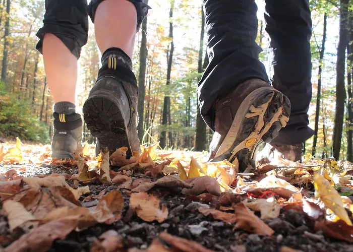 兰德加斯霍夫鲁珀酒店 酒店 3*