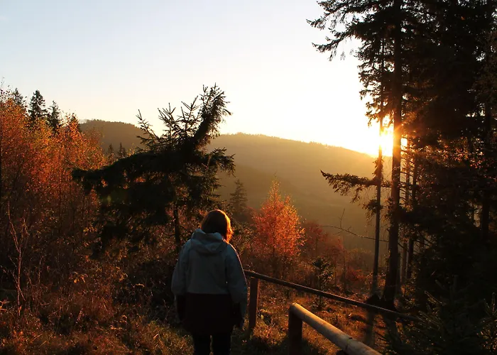 兰德加斯霍夫鲁珀酒店 酒店 3*