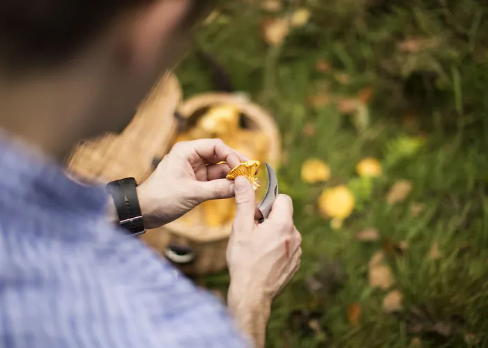 Landgasthof Rueppel 호텔 Ramsbeck