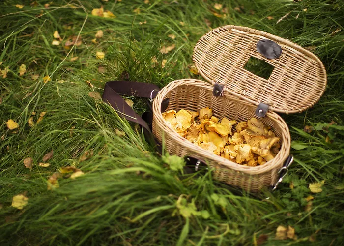 호텔 Landgasthof Rueppel