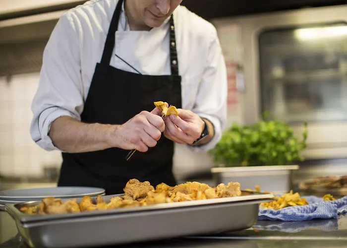 酒店 兰德加斯霍夫鲁珀酒店 3*