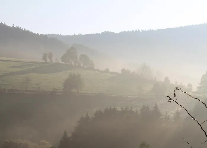 兰德加斯霍夫鲁珀酒店 3* Ramsbeck