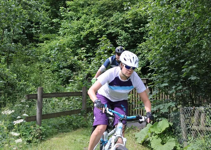 Landgasthof Rueppel 호텔