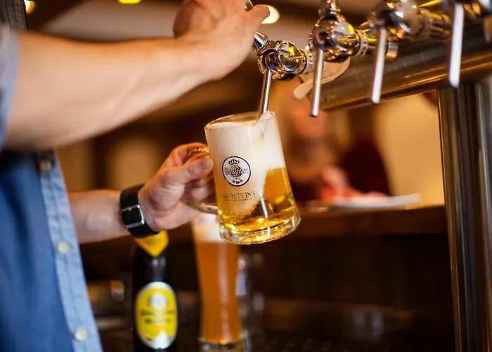 兰德加斯霍夫鲁珀酒店 酒店 3*